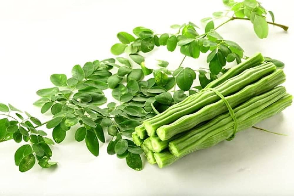 Moringa drumsticks and leaves (photo)